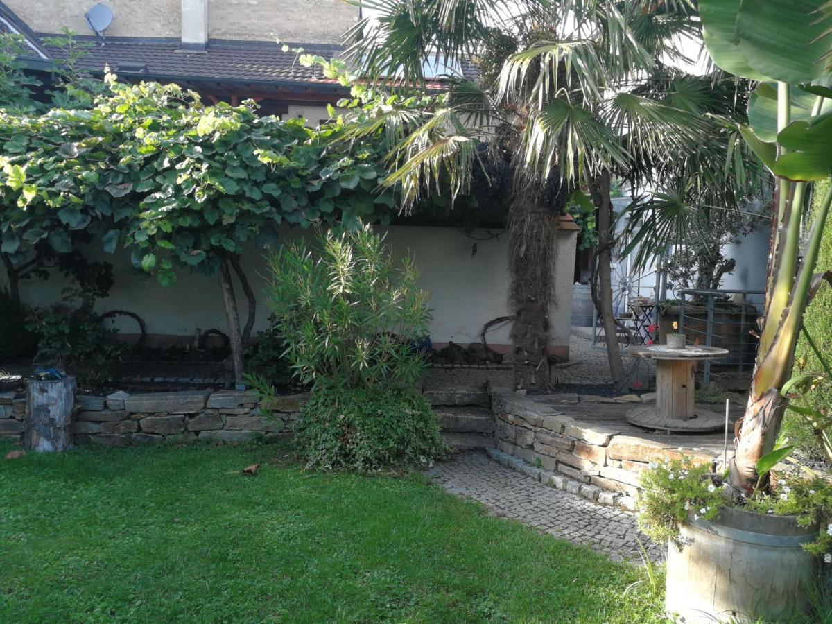Haus Bienen Bed & Breakfast Ihringen Eksteriør bilde