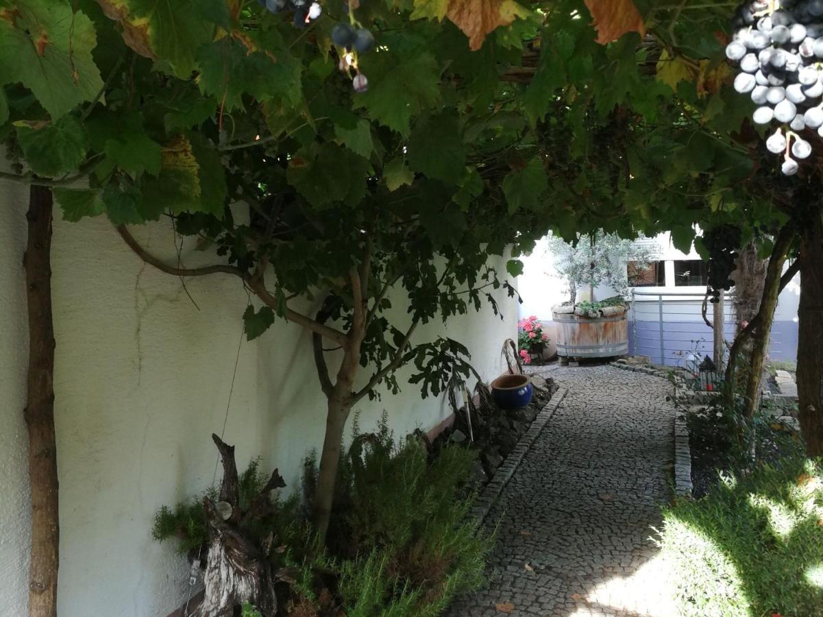 Haus Bienen Bed & Breakfast Ihringen Eksteriør bilde