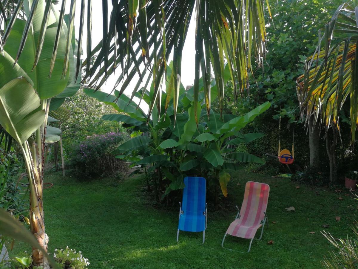 Haus Bienen Bed & Breakfast Ihringen Eksteriør bilde